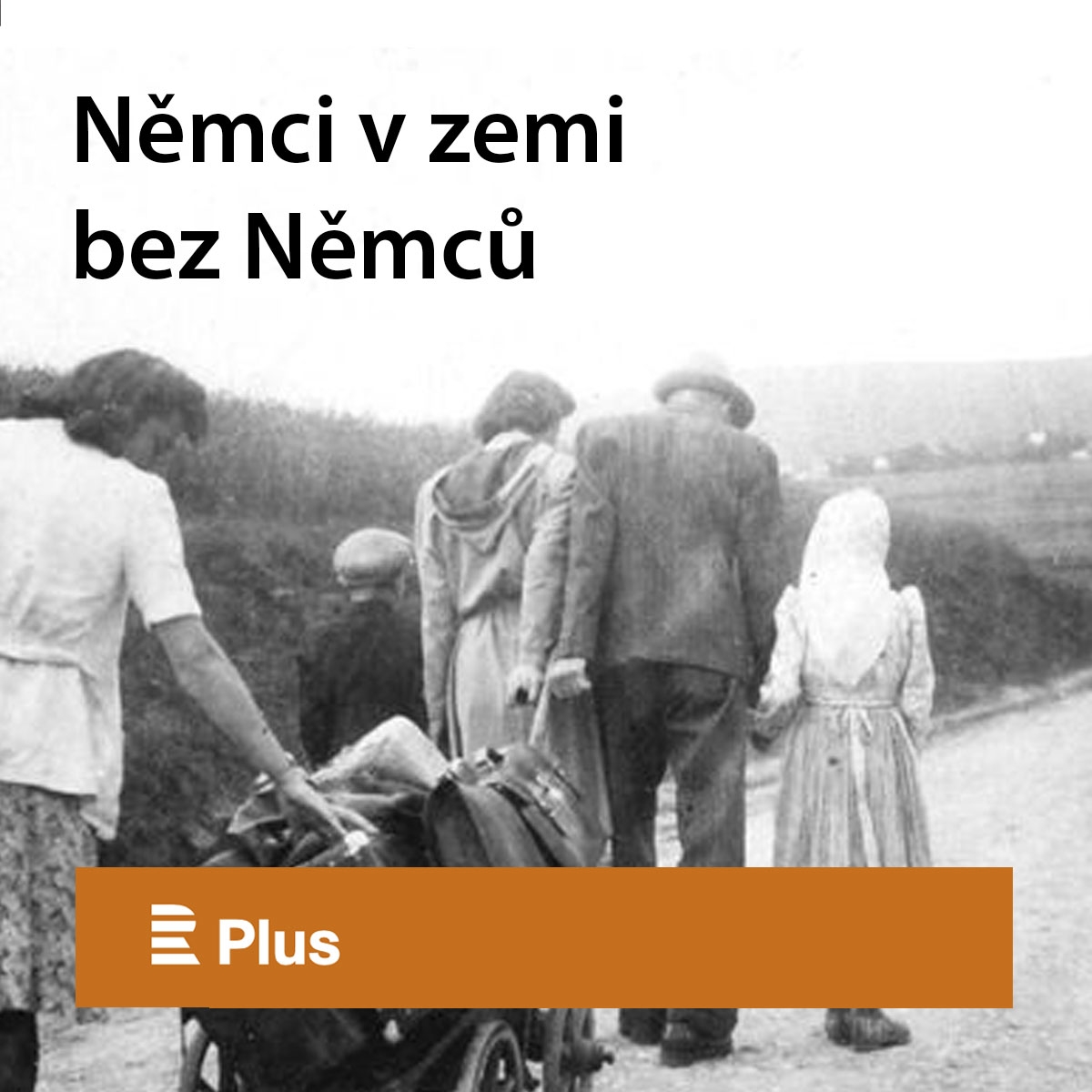 p_98m3 1b-1