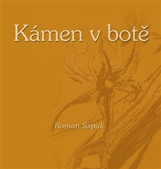 Kámen v botě