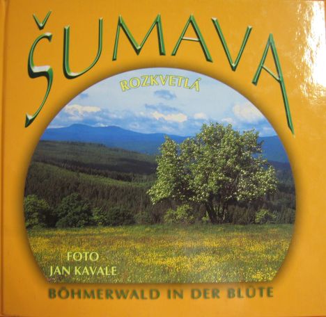 Šumava rozkvetlá