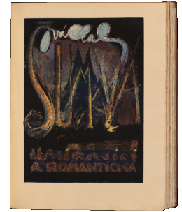 Šumava umírající a romantická