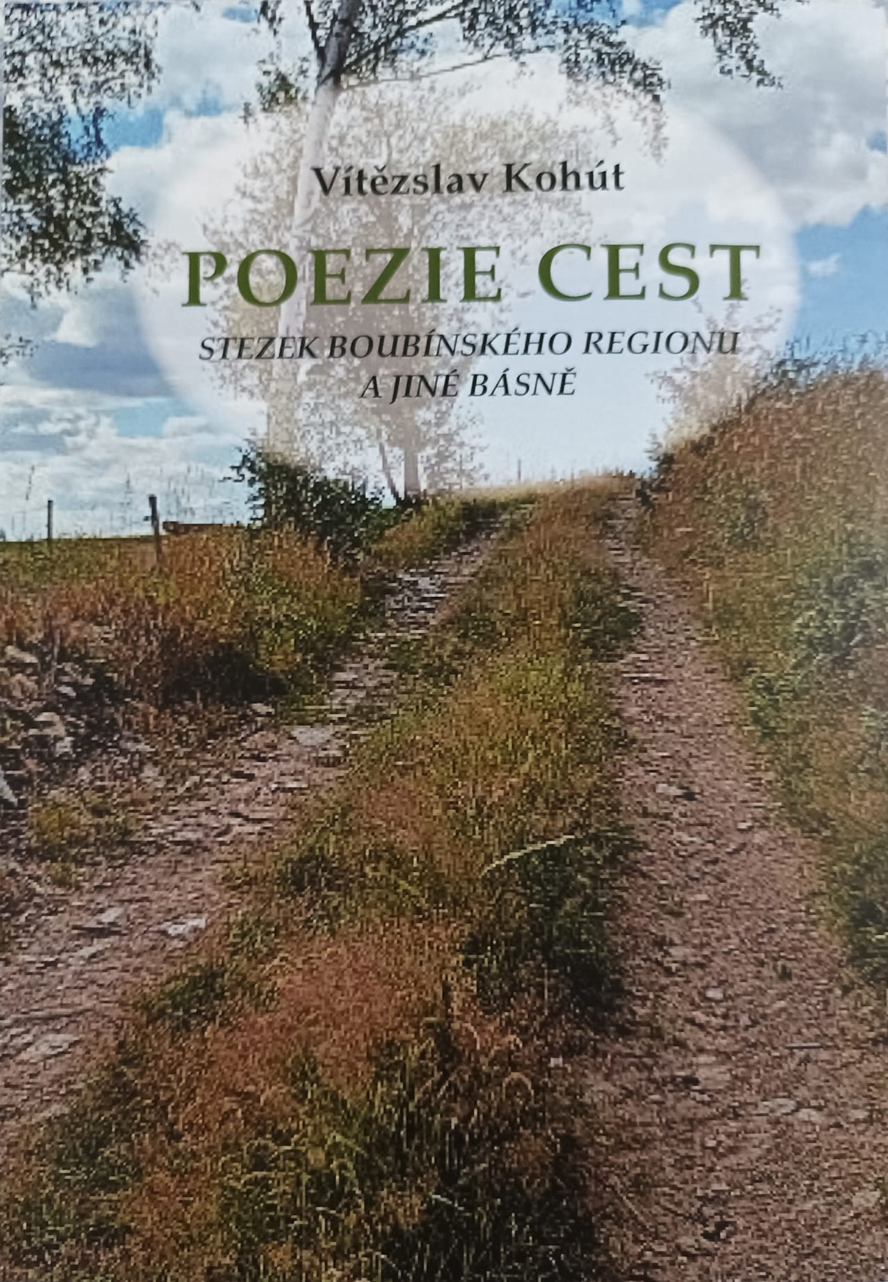 Poezie cest – Stezek boubínského regionu a jiné básně