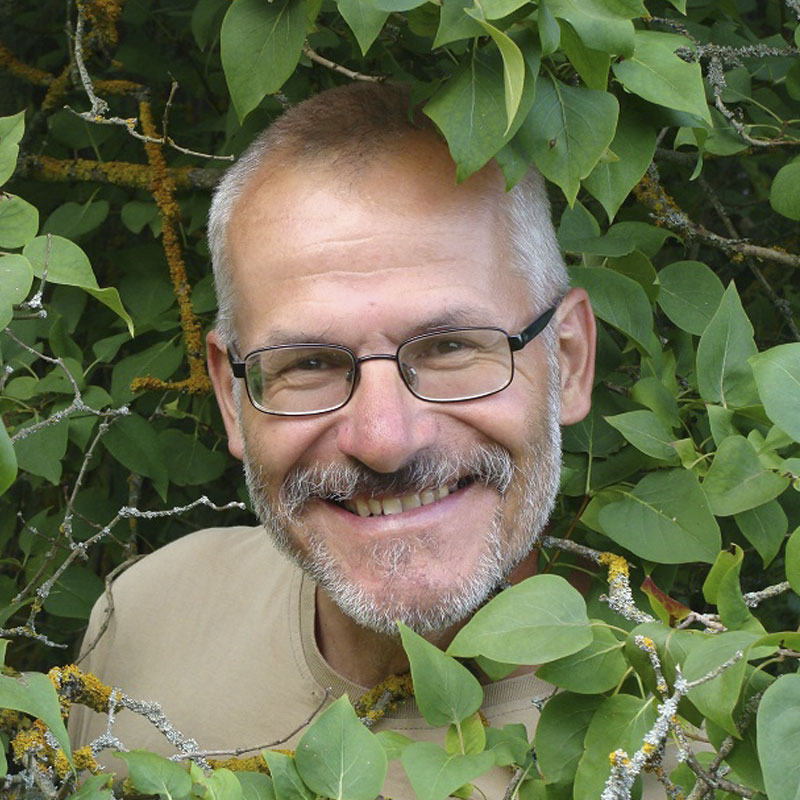 Stehlík Ivo