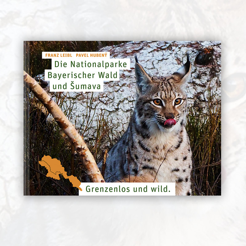 Die Nationalparke Bayerischer Wald und Sumava : Grenzenlos und wild 