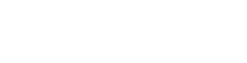 logo eu_next w